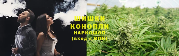 spice Алзамай