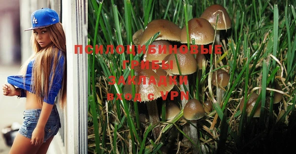 spice Алзамай