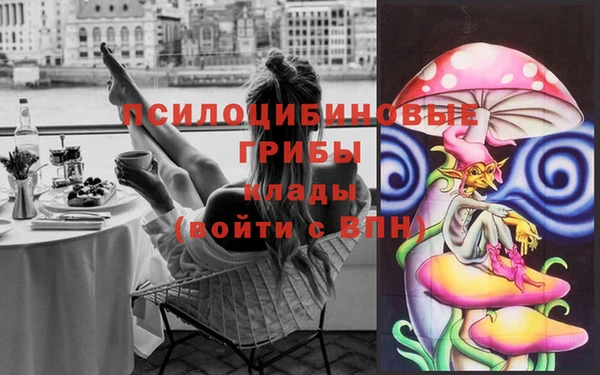 тгк Алексин