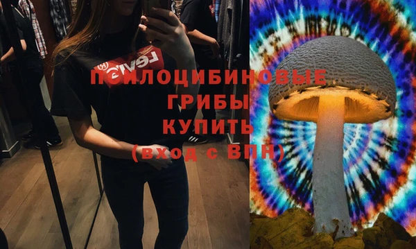 амфетамин Алексеевка