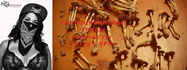 тгк Алексин