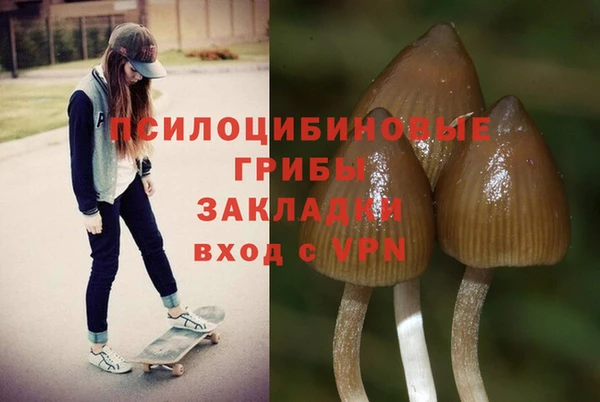 spice Алзамай