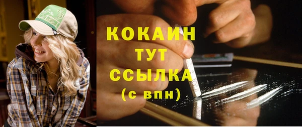 тгк Алексин