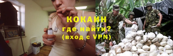 тгк Алексин