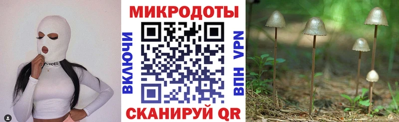 Галлюциногенные грибы MAGIC MUSHROOMS  закладки  Чебаркуль 